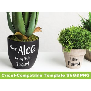 Puede incluir: Dos plantas en maceta, una con una planta de aloe verde y una maceta negra con el texto "Say Aloe to my little friend" y la otra con un arbusto verde y una maceta marrón con el texto "Little Friend".