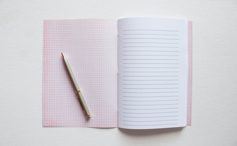 May include: An open notebook with a red grid pattern on the left page and lined paper on the right. A silver pen with gold accents rests diagonally across the grid page. The notebook is on a white surface.