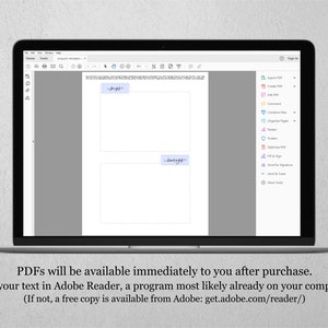 May include: A screenshot of a laptop screen showing a PDF document open in Adobe Reader. The document has two blank text boxes with the words "Insert Text" written in each box. The Adobe Reader toolbar is visible on the right side of the screen.