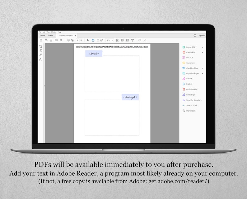 May include: A screenshot of a laptop screen showing a PDF document open in Adobe Reader. The document has two blank text boxes with the words "Insert Text" written in each box. The Adobe Reader toolbar is visible on the right side of the screen.