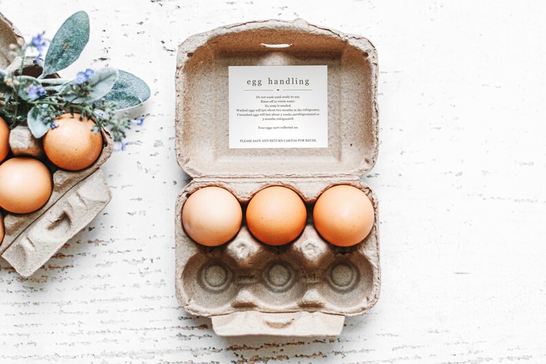 May include: A cardboard egg carton containing three brown eggs. The carton has a white label that reads "egg handling" and provides instructions for handling the eggs.