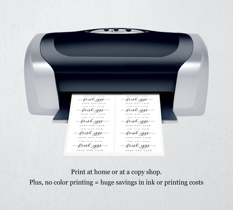 Funny Egg Carton Label Template Printable Chicken Coop Farm Etsy