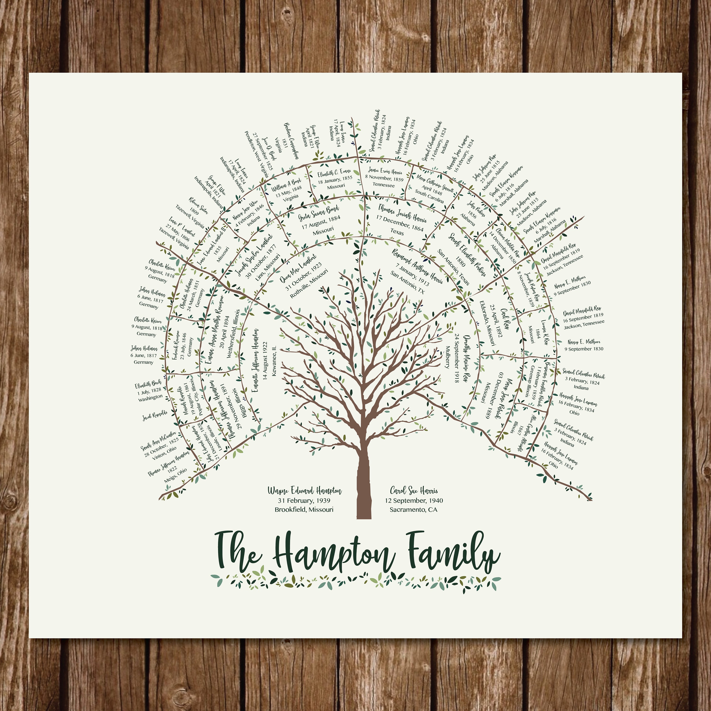 Fan-style Family Tree Chart, The fan-style family tree char…
