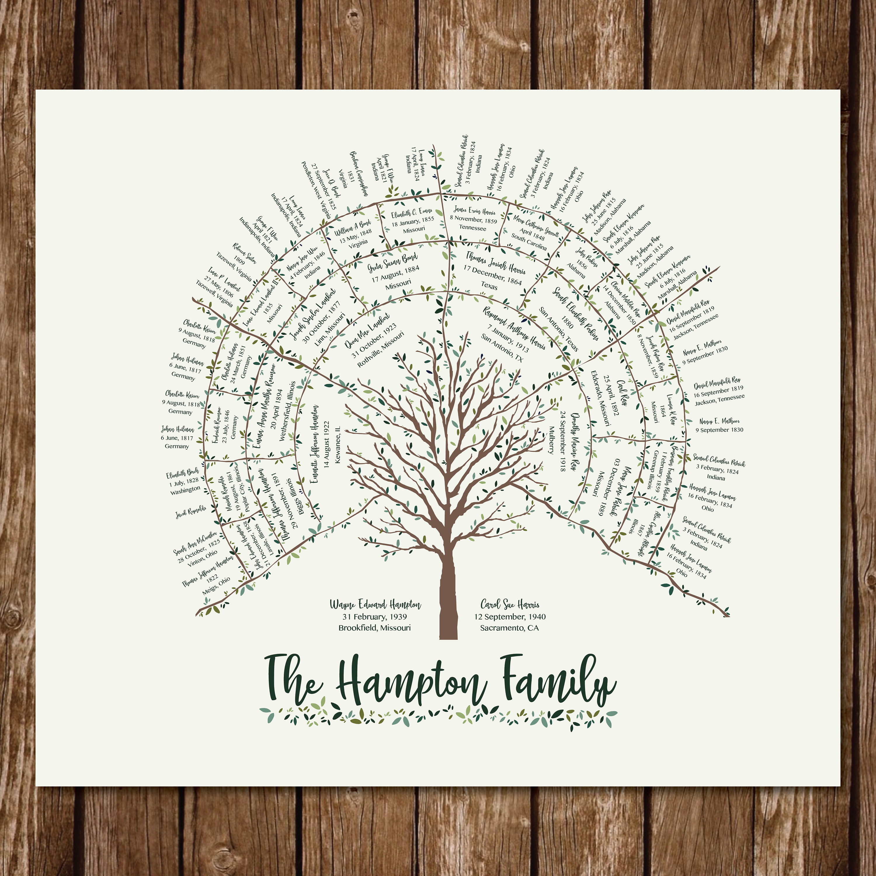 Ancestor Fan Chart Examples