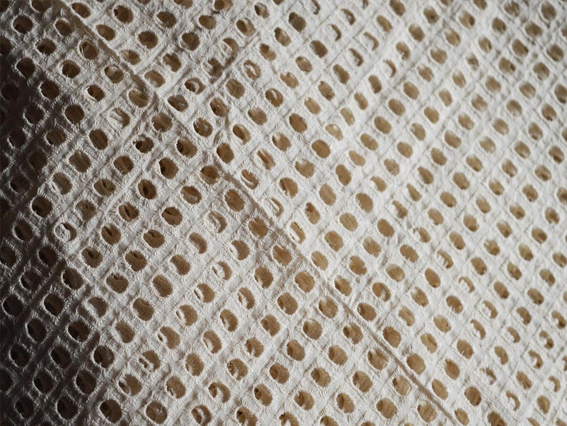 Unbleached Dyeable Indian Eyelet Cotton Fabric by the Yard Etsy