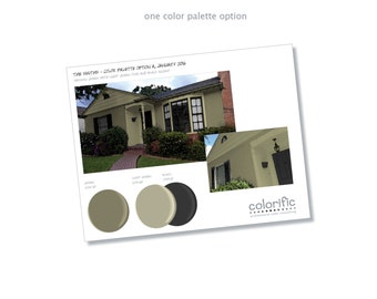 1 custom paint palette for your home's exterior