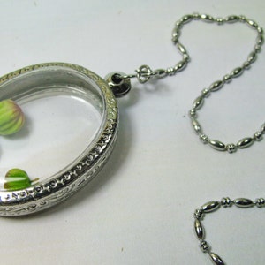 May include: A silver oval locket necklace with a clear glass insert containing two small green flower buds. The necklace has a silver chain with oval links.