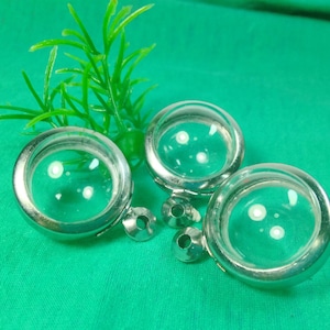 May include: Three clear glass lenses with silver metal rims and small silver metal fasteners are arranged on a green surface. A sprig of green foliage is in the background. The lenses have a magnifying effect.