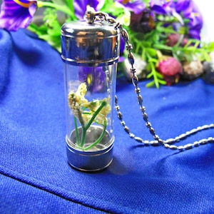 May include: A silver chain necklace with a clear glass vial pendant containing dried white flowers and green stems.