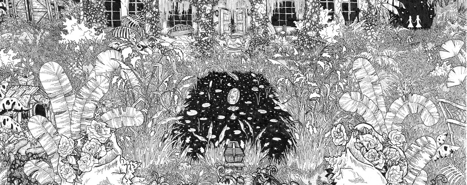 Duma Key Pen and Ink Signed Illustration PRINT Various Sizes Etsy Canada