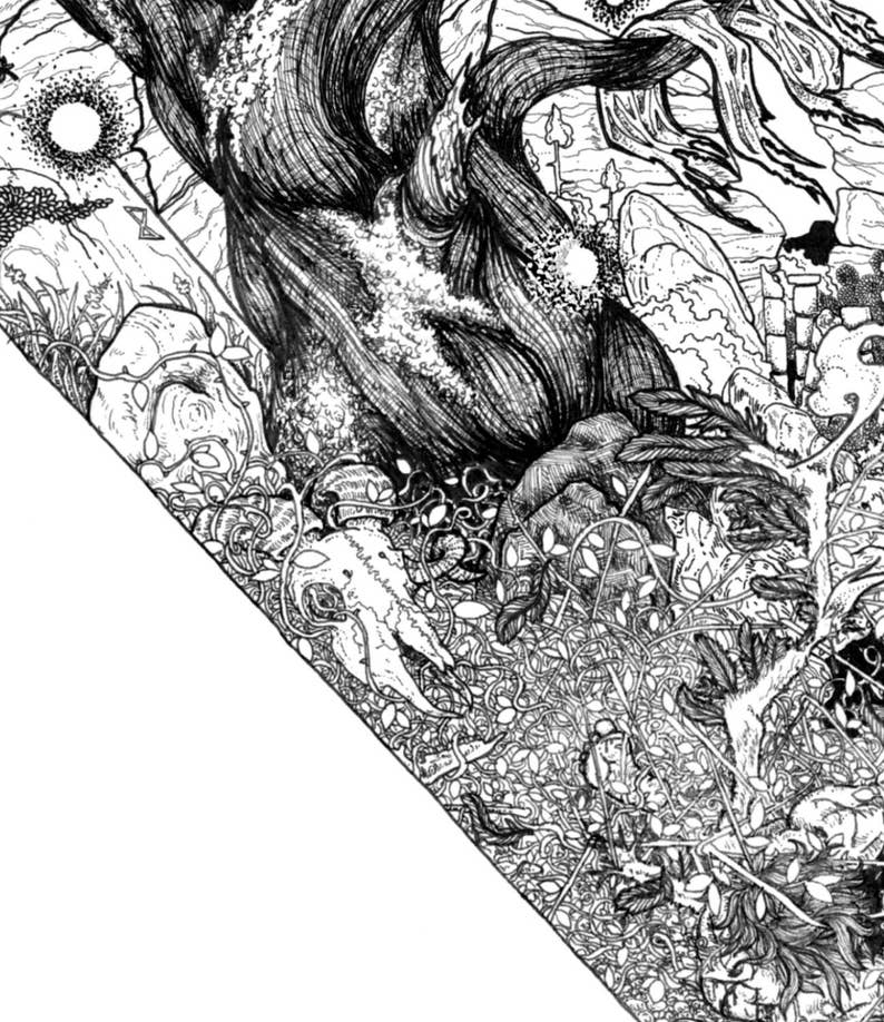 Icarus Pen and Ink Signed Illustration PRINT Black and White - Etsy