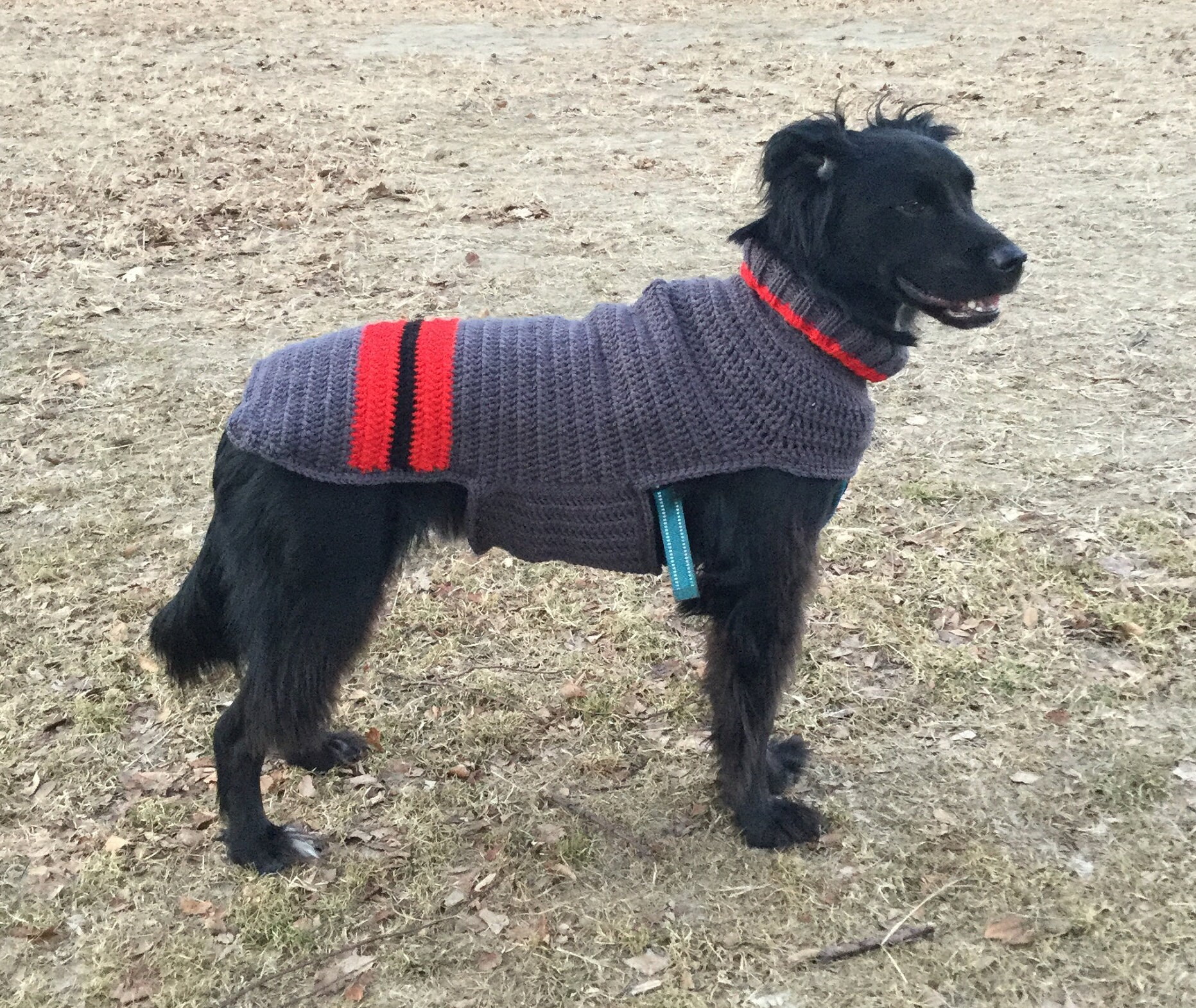 large dog sweaters