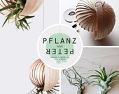 Hanging Planter for Air Plants "PFLANZ-PETER" (without plants)