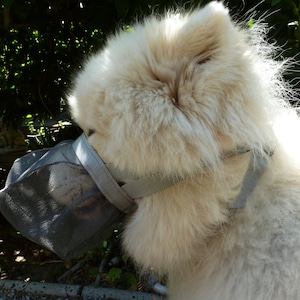 Smuzzle A Soft Muzzle That Lets Your Dog Smile Etsy