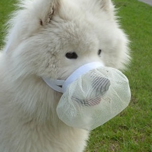 Smuzzle: A soft muzzle that lets your dog Smile image 1