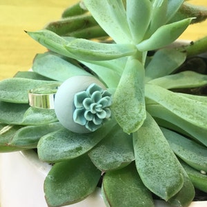 Bague succulente mini anneau de cactus Mini planteur anneau vegan ring cadeau pour teen girl jardinier cadeau plante cadeau succulente bague de fleur de bijoux image 5