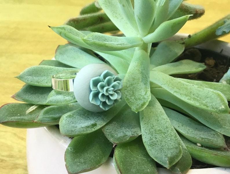 Bague succulente mini anneau de cactus Mini planteur anneau vegan ring cadeau pour teen girl jardinier cadeau plante cadeau succulente bague de fleur de bijoux image 5