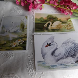 3- 2 1/2 x 3 inch Images Printed on Fusible Cotton Fabric   Embellishment- SWANS!