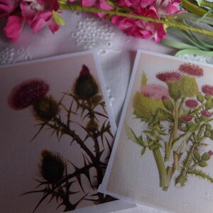 2 Wallet Size Images Printed on Fusible Cotton Fabric For Junk Journal, Scrapbook, Sewing and Quilting Embellishments-  Thistle