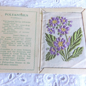 cigarette silks value Cigarette Silks