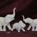 see more listings in the Animals section