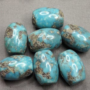 May include: A collection of seven polished turquoise beads with a smooth, rounded barrel shape. Each bead displays a vibrant sky-blue color with natural, dark brown matrix inclusions scattered across the surface, creating a unique pattern.