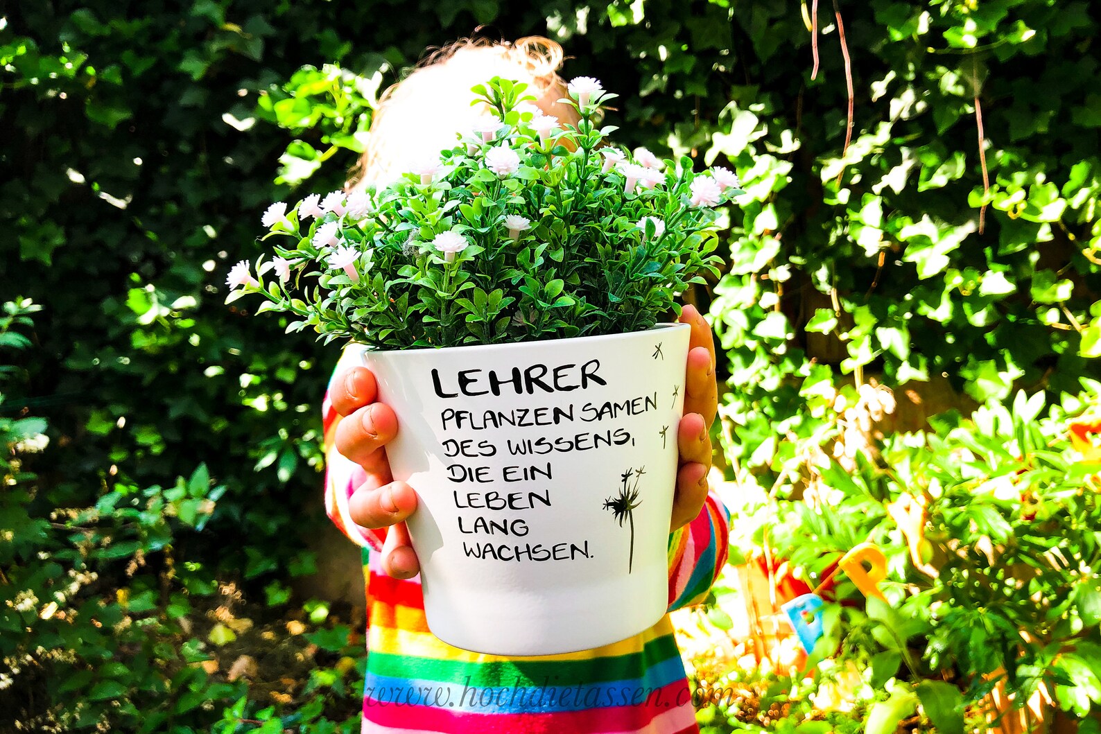 Lehrer Geschenk Blumentopf mit Spruch Lehrerin Blumentopf Etsy
