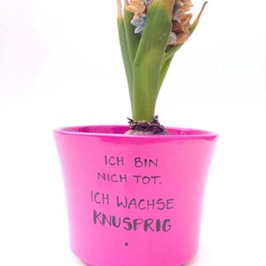 Ich wachse knusprig , Blumentopf mit Spruch, Blumentopf Spruch, Einweihungsgeschenk, Bauherr, 18.Geburtstag Bild 5