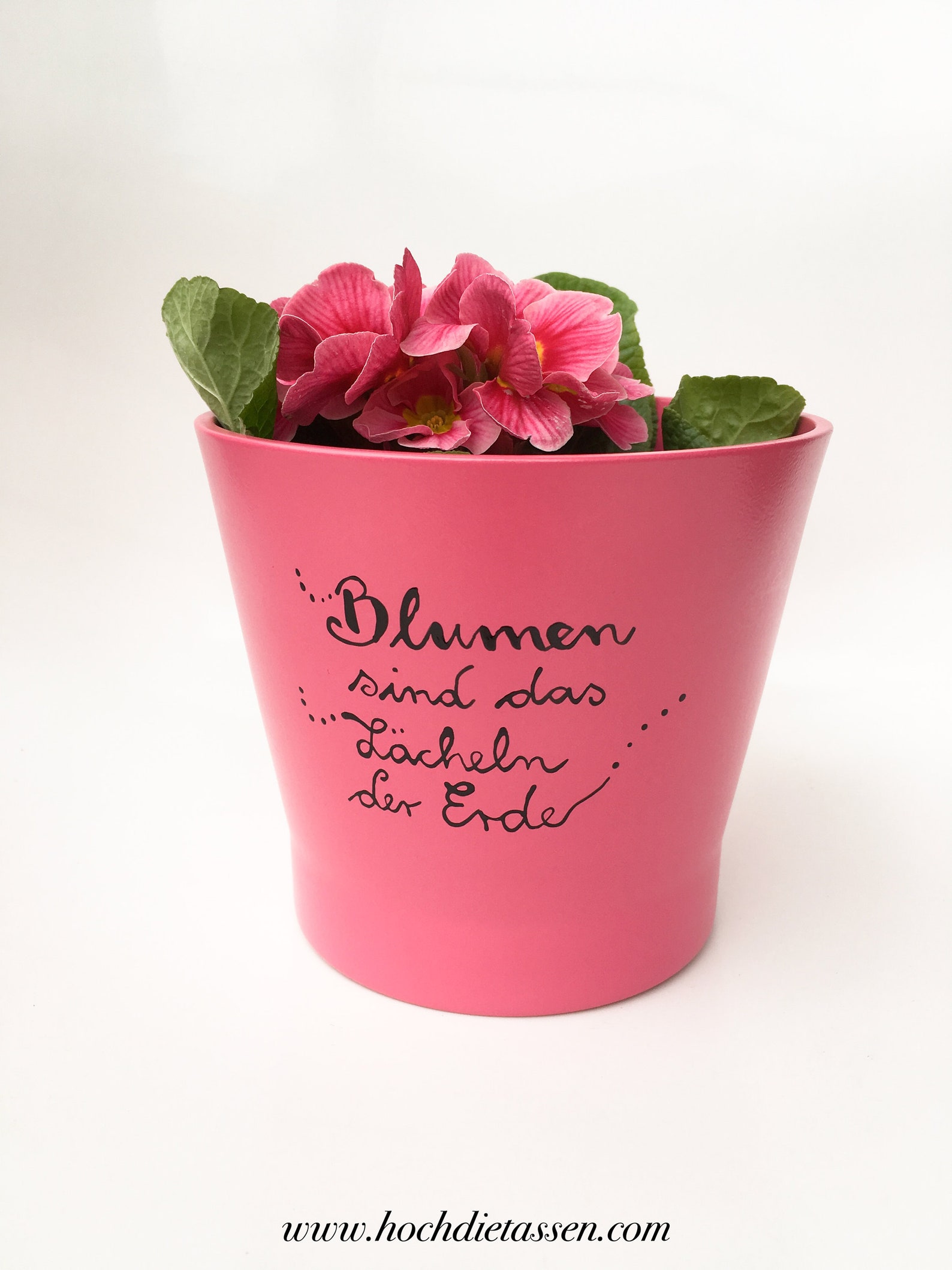 Blumentopf Blumentopf mit Spruch Geschenk Spruch Vase Etsy