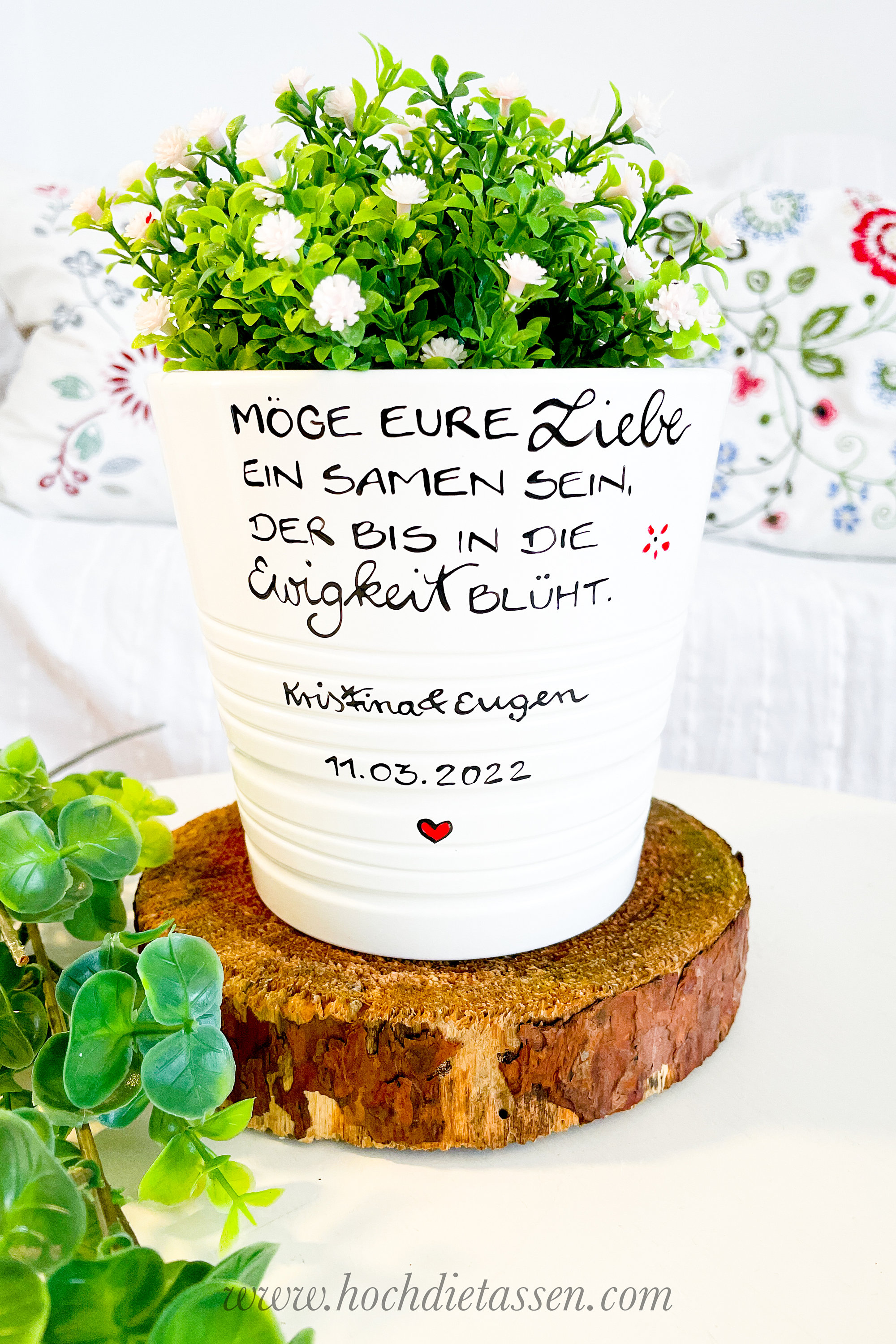 Schleier Methode Brigg pflanze als geschenk verpacken Das Zimmer