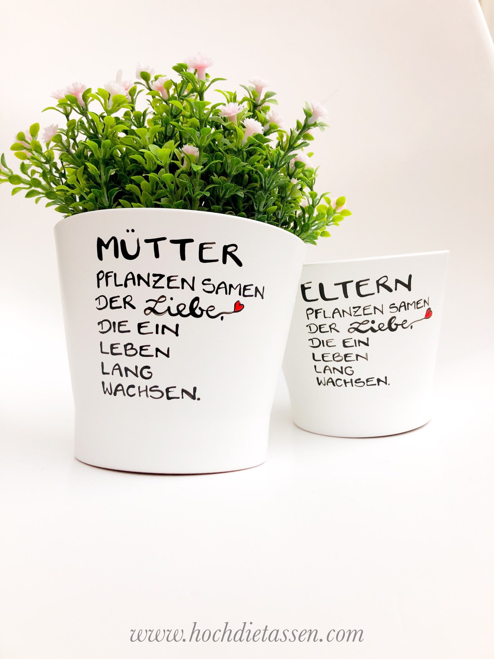 Flower pot for mothers gift parents mothers plant seeds of