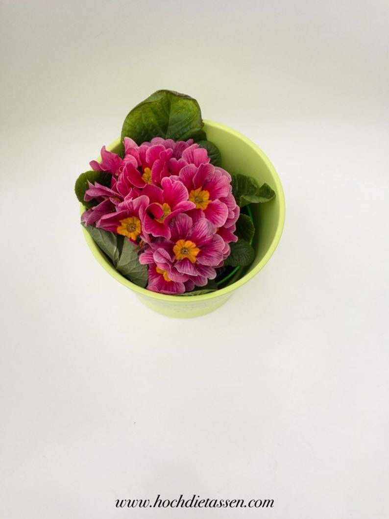 Blumentopf, mit Spruch , Einweihungsgeschenk Topf, Bild 8