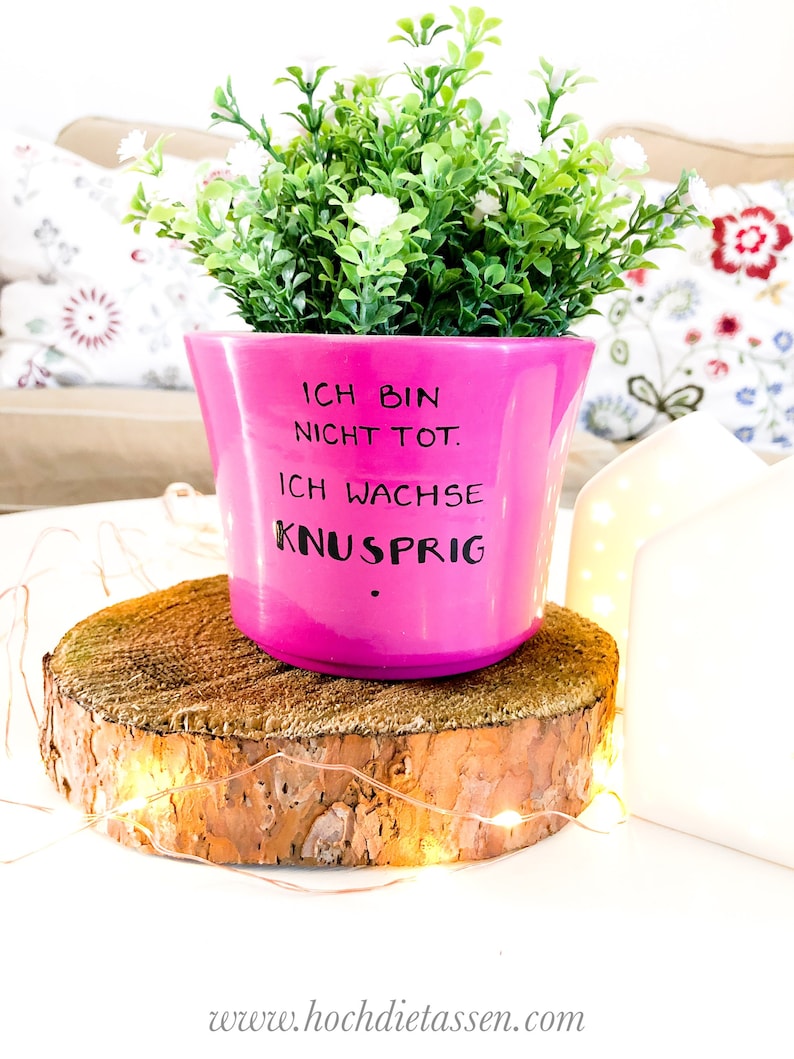 Ich wachse knusprig , Blumentopf mit Spruch, Blumentopf Spruch, Einweihungsgeschenk, Bauherr, 18.Geburtstag Bild 2