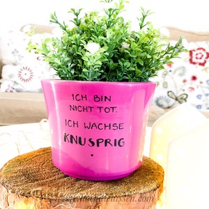 Ich wachse knusprig , Blumentopf mit Spruch, Blumentopf Spruch, Einweihungsgeschenk, Bauherr, 18.Geburtstag Bild 3