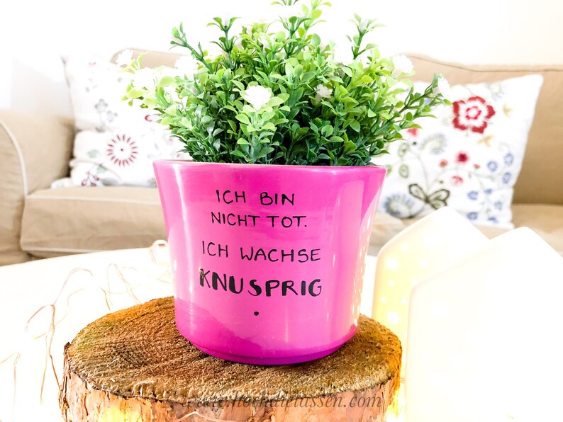 Ich wachse knusprig , Blumentopf mit Spruch, Blumentopf Spruch, Einweihungsgeschenk, Bauherr, 18.Geburtstag Bild 3