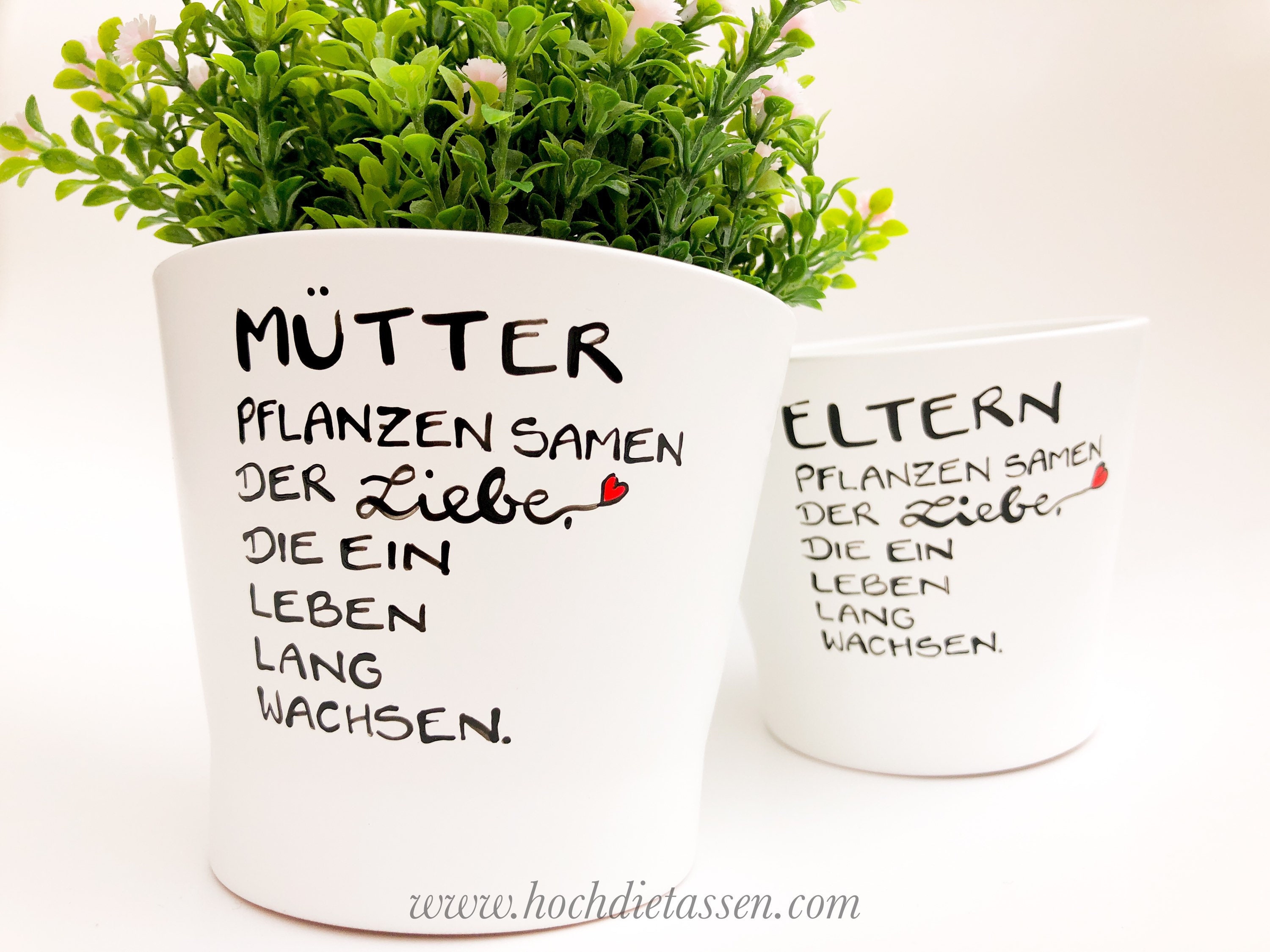 Flower pot for mothers gift parents mothers plant seeds of