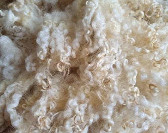 Off White Wool Locks Spinning Curls Needle Felting 10g Natural Cream
