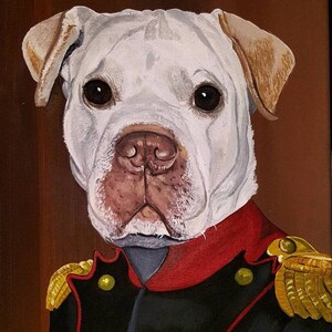 General Dog, is one of another idea for your pet! Ideas are endless!!