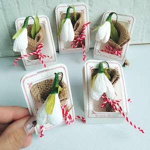 Spilla da donna, Spilla bucaneve, Martenitza bulgara, Martenitsa Baba Marta, Bianco e rosso, Rosso e bianco, Bouquet bucaneve, Spilla di marzo