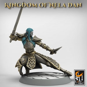 May include: A blue-skinned elf warrior figurine wearing gold and black armor, holding a sword and a dagger. The figurine is posed in a dynamic fighting stance. The figurine is part of the Kingdom of Nela Dan collection.