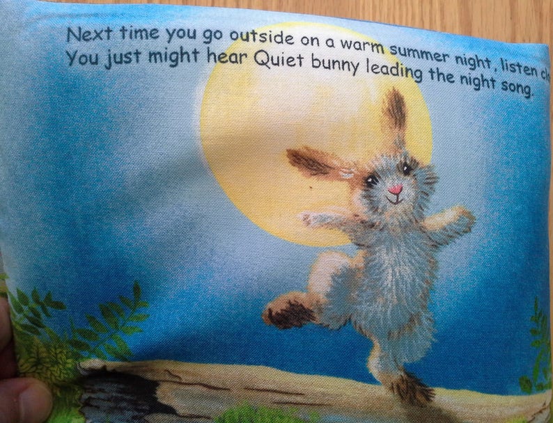 Cloth Book Quiet Bunny and the Night Song Item BK150210 Etsy