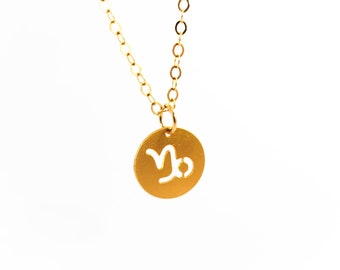 Ketting sterrenbeeld: 14k gold filled astrologische bedel
