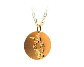 Gold Vogel Münze Halskette: 14k Gold Filled Anhänger, Minimalistischer Schmuck