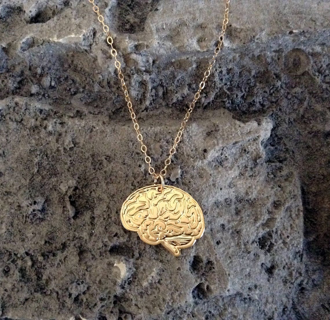 Gold Brain Necklace Anatomical Necklace Anatomical Jewelry Etsy