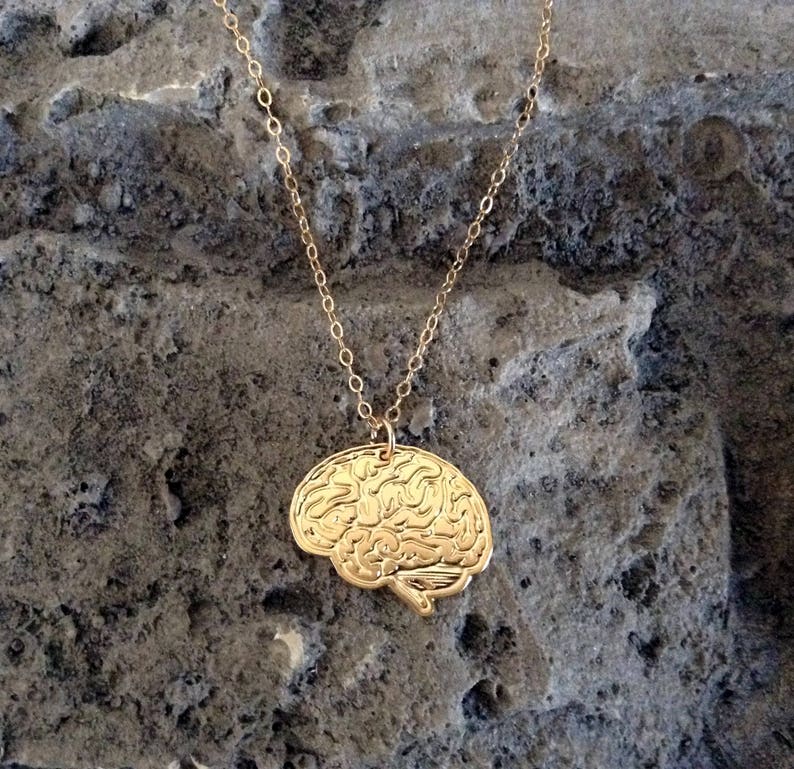 Gold Brain Necklace Anatomical Necklace Anatomical Jewelry Etsy