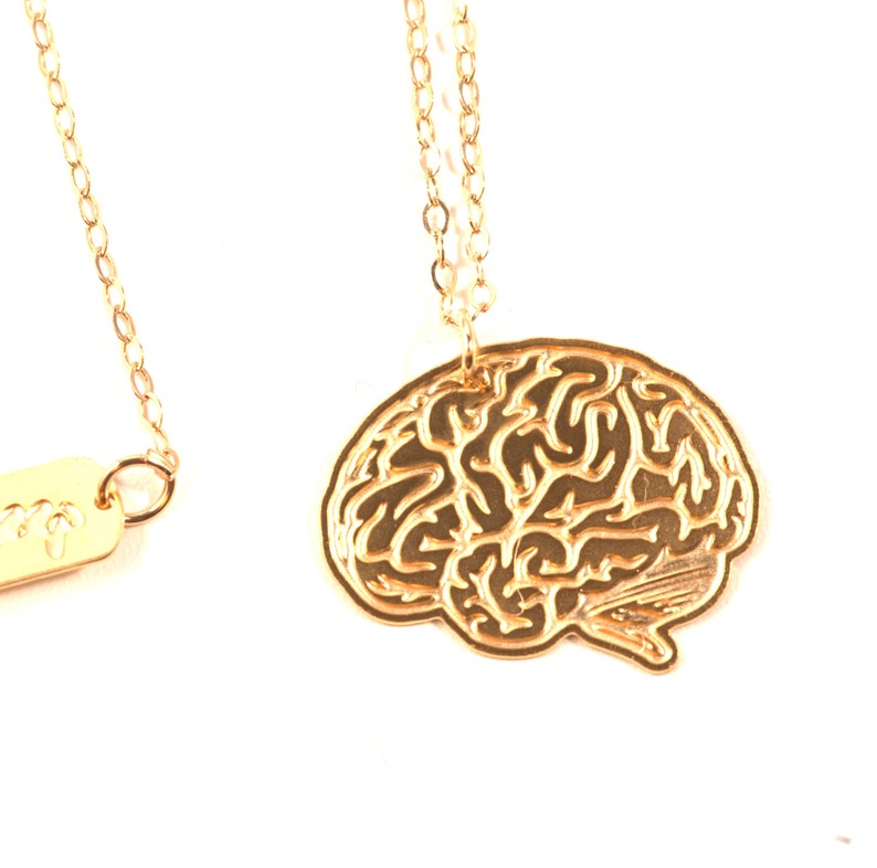 Gold Brain Necklace Anatomical Necklace Anatomical Jewelry Etsy
