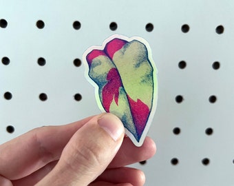 Pink Princess Philodendron Leaf Sticker • Vinyl holographic sticker • houseplant leaf vinyl sticker