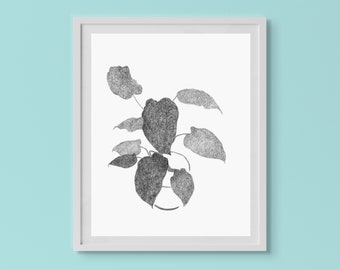 Philodendron Fine Art Print • 8x10 or 5x7 black and white art print • Botanical Drawing print • plant and nature inspired art