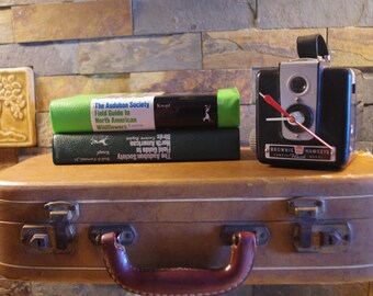 Vintage instrument case wall shelf. Unique decorative shelving. Perfect for the traveler in the family.