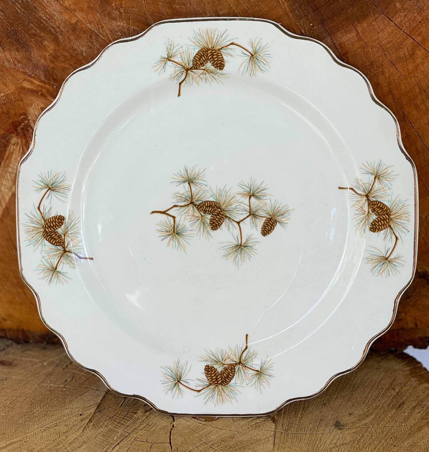 Vintage WS Pine Cone 588064C Partial Dish Set Etsy